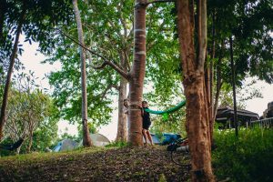 A-2026-Community
